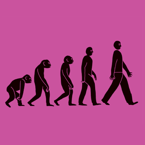 imagem interna do livro