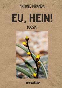 EU, HEIN!: poesia (Portuguese Edition)