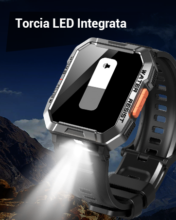 smartwatch