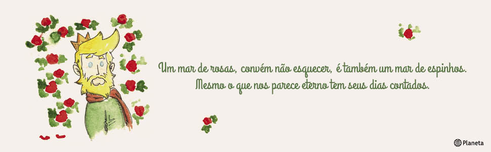 pequeno principe, Antoine de Saint-Exupéry, Saint Exupery, crescimento, crescimento pessoal, romance