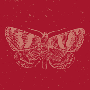 amor entre bruxa e caçador, Amor entre diferentes classes sociais, Amor proibido, Aventura, Bruxaria