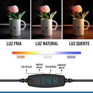 Anel Luz 20cm 8 Polegadas, Ring Light Iluminador, Kit Completo Anel de Luz LED Com Tripé, Anel Flexivel Ring Light Tripe 20cm com Suporte Celular Universal Selfie (Solange PH)