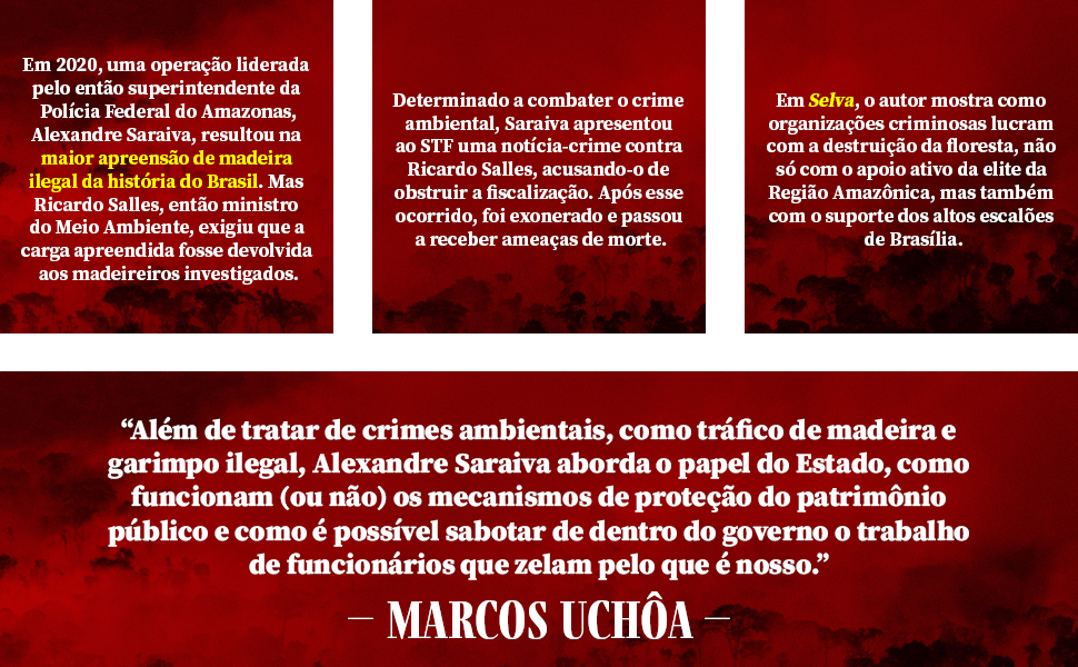 meio ambiente; Polícia Federal; Amazônia  operações policiais; política desmatamento; corrupção. 