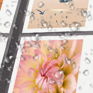 álbum instax square